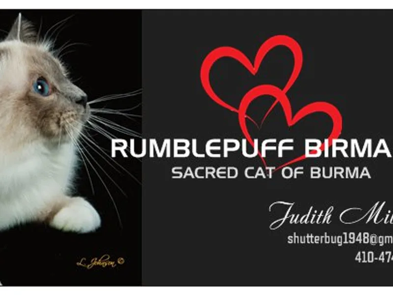 Rumblepuff photo 1