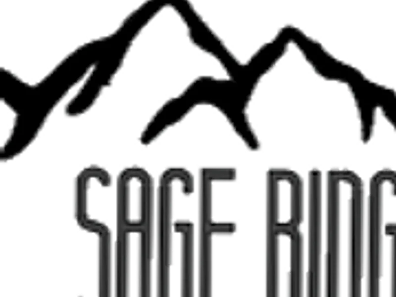 Sage Ridge Border Collies