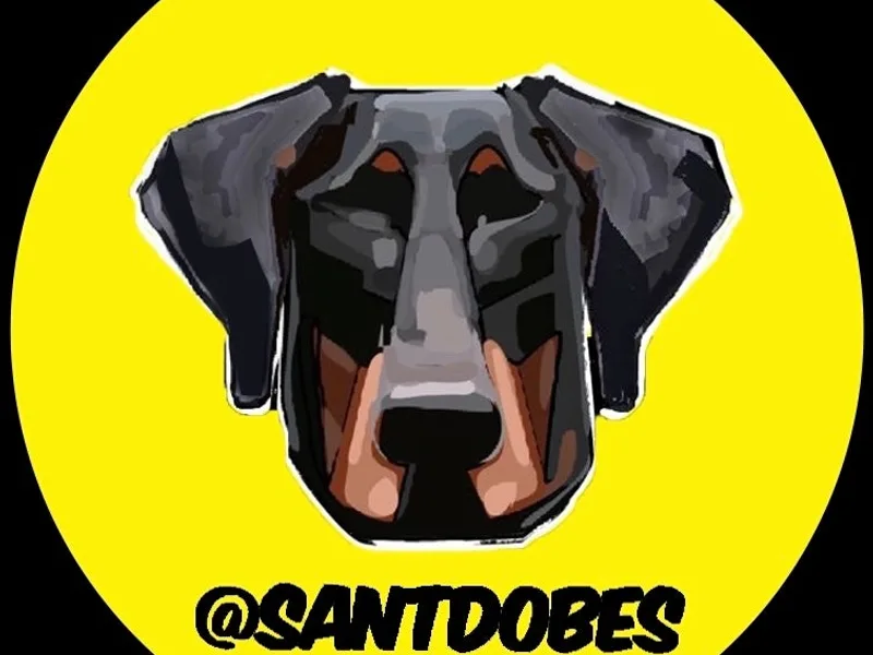 SANTDOBES photo 1