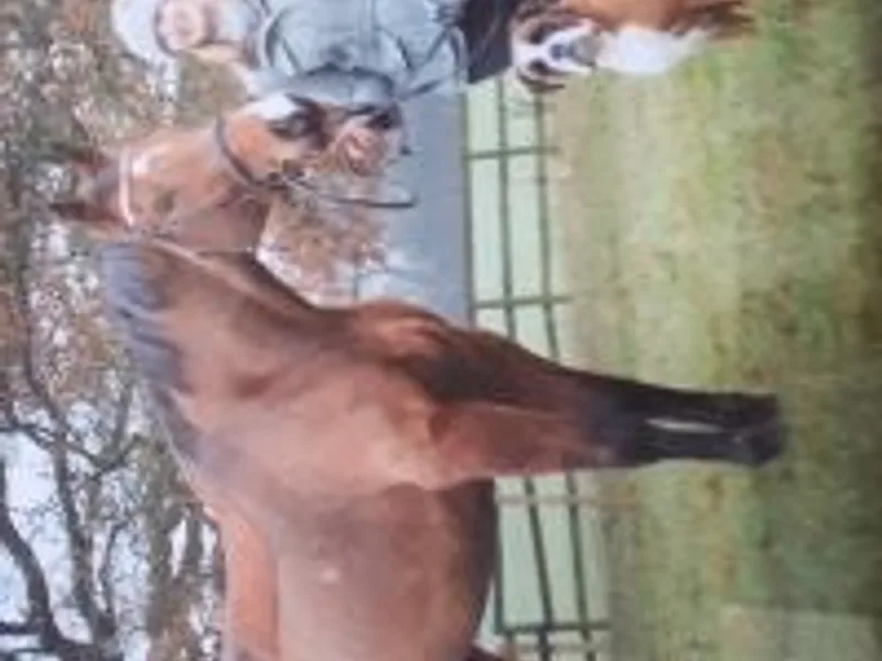 Sarah Moore  photo 1