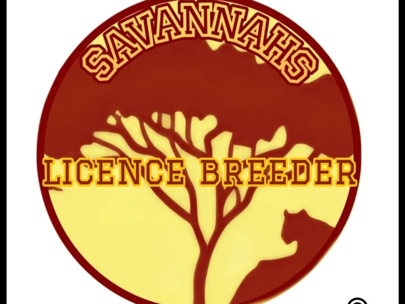 Savannahs photo 1
