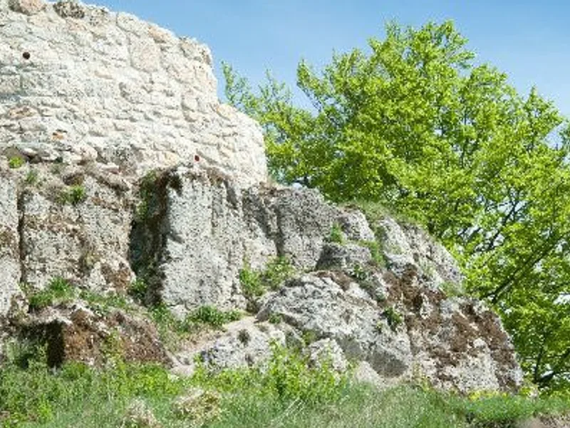 Schloss Velburg Dobermanns