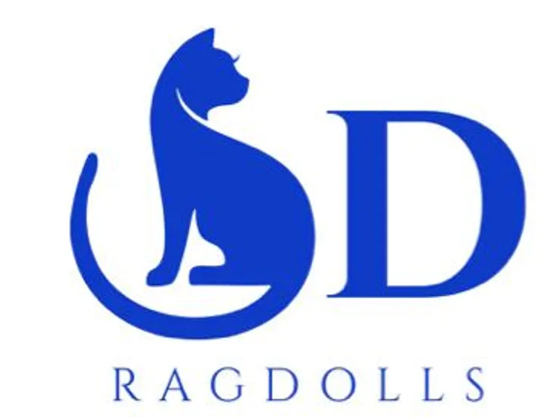 Sdragdolls1 photo 1