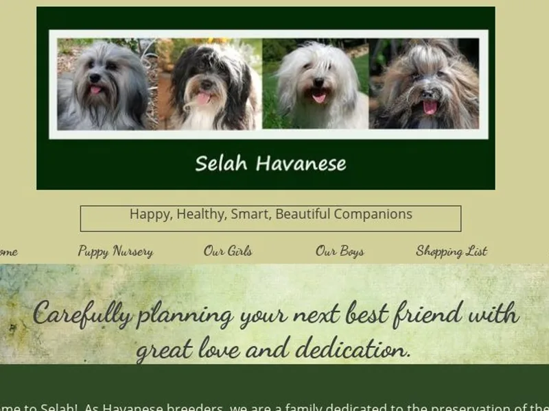 Selah Havanese