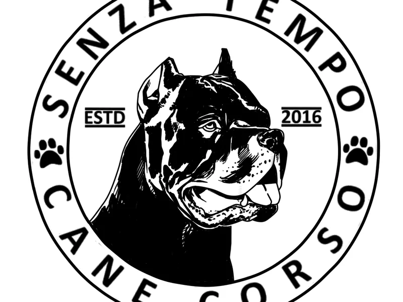 Senza tempo cane corso