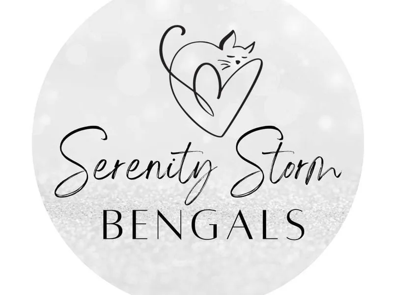 SERENITY STORM BENGALS photo 1