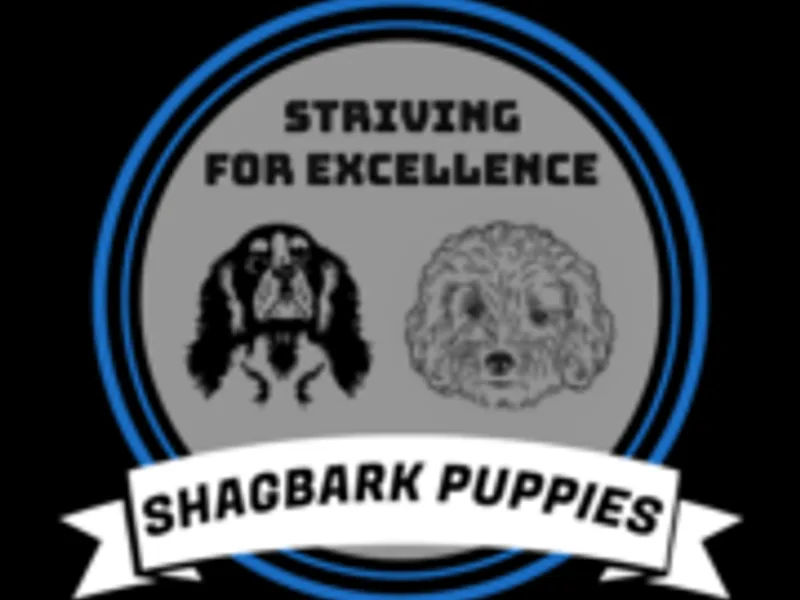 Shagbark Puppies