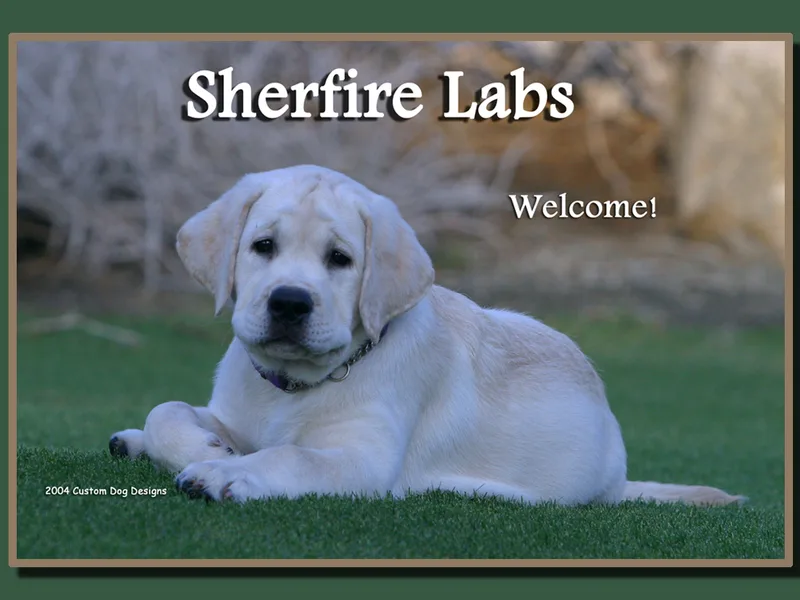 Sherfire Labs
