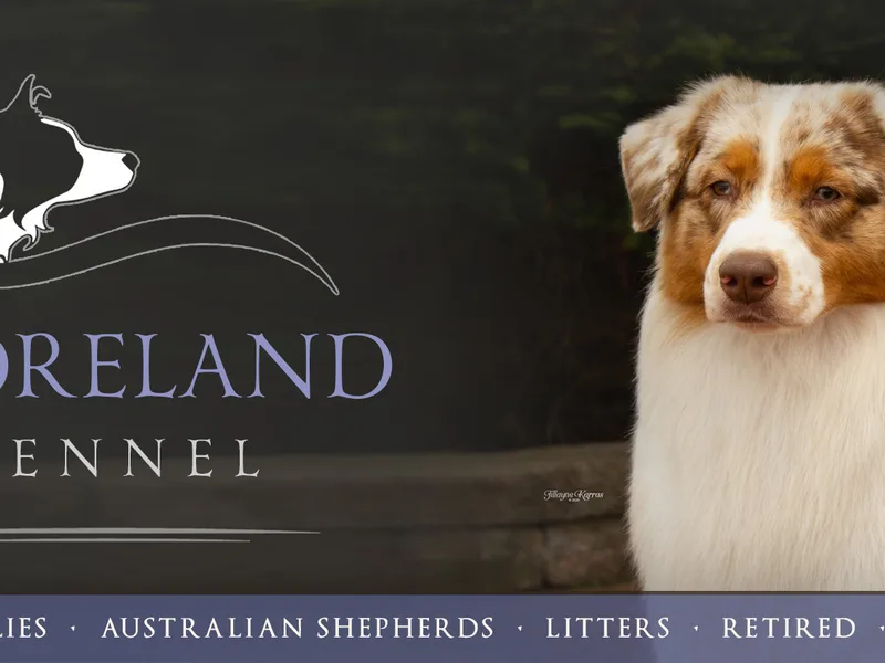 Shoreland Kennel Suzanne Mayborne