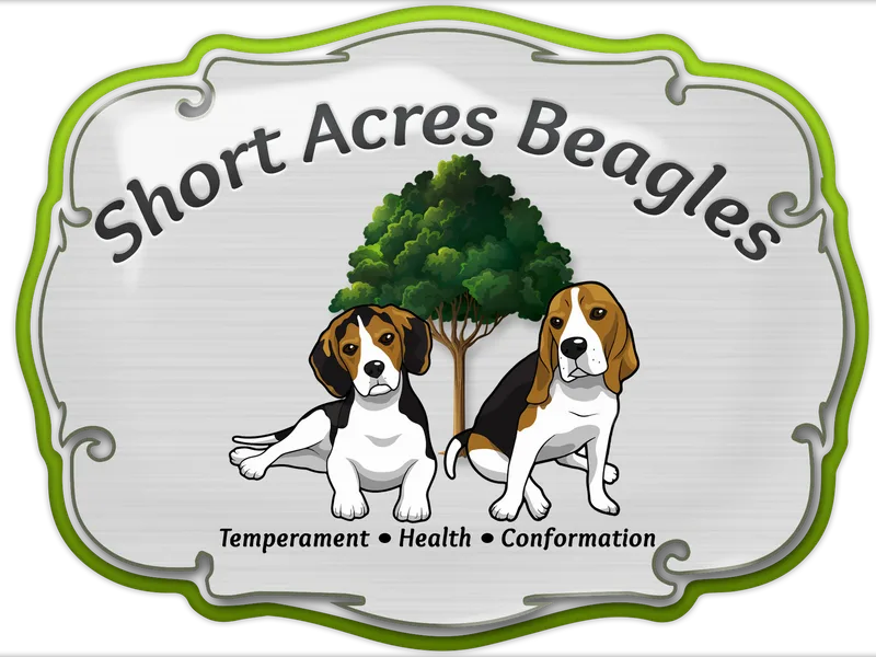 Short Acres Beagles