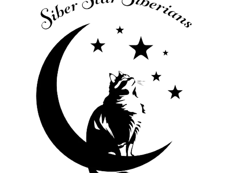 SiberrStarr photo 1