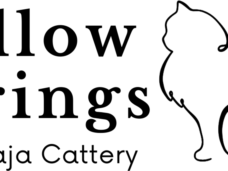 Sibirskaja photo 1