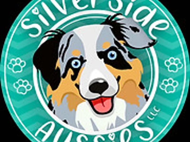 Silverside Aussies LLC