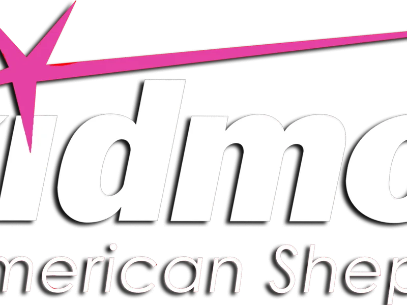 Skidmore Miniature American Shepherds