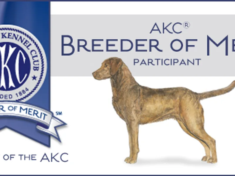 Sky Pond Chesapeakes