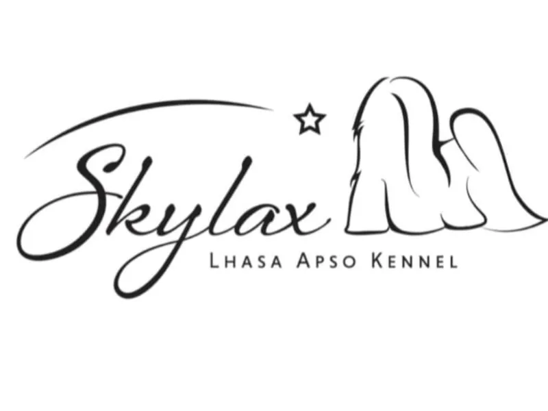 Skylax  photo 1
