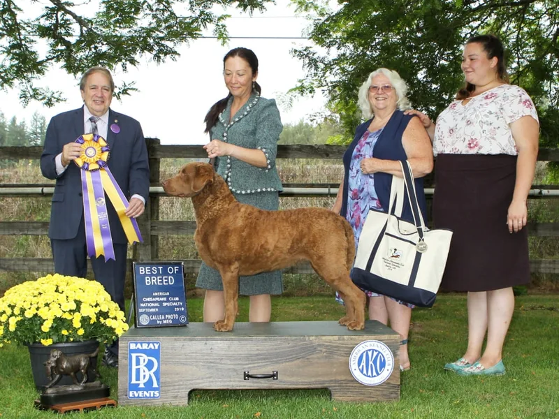 Skywatcher Chesapeakes