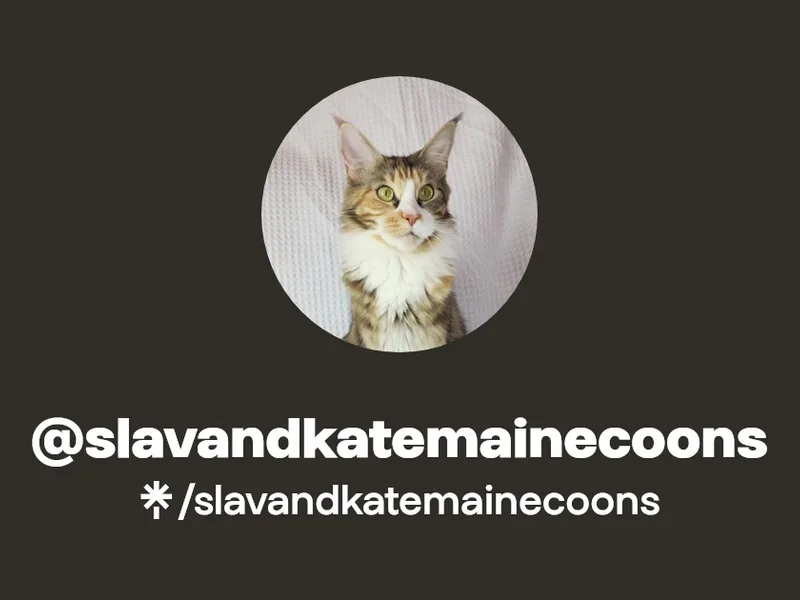 SlavAndKate photo 1
