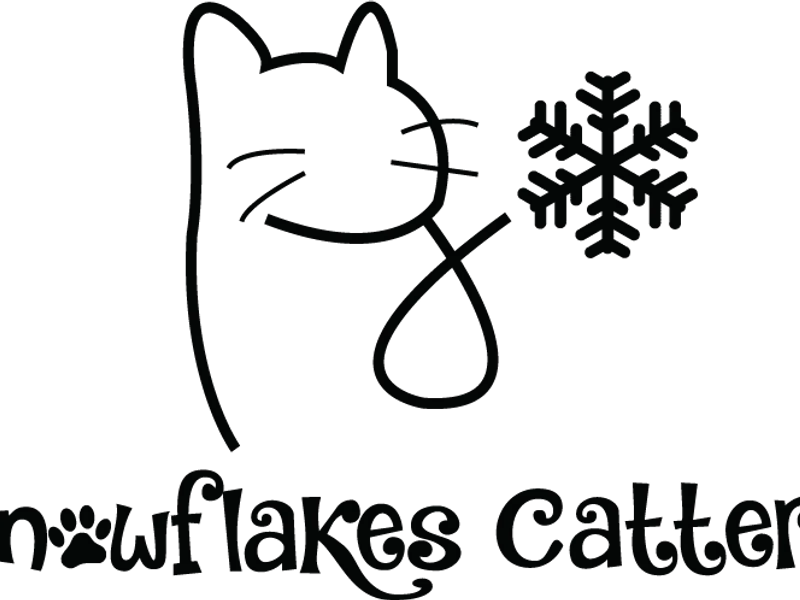 SnowflakesinLA