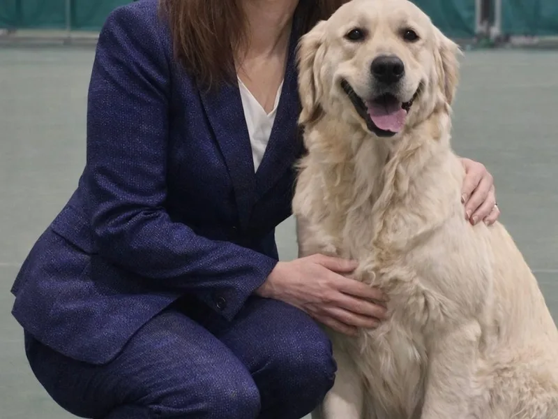 Solmere Retrievers  photo 1