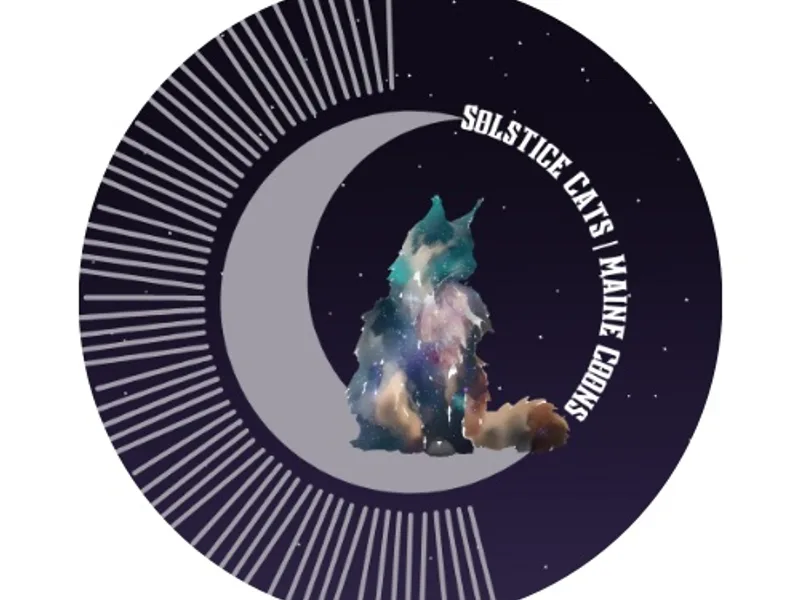 SolsticeCats
