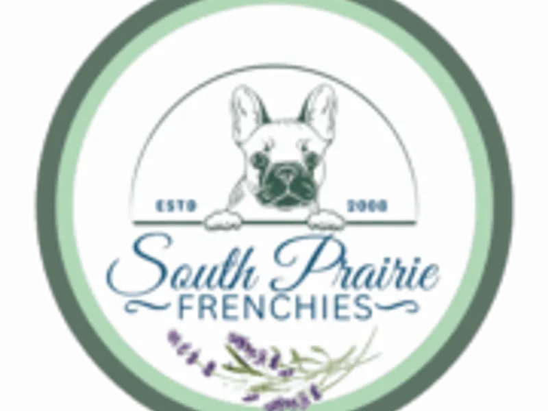 South Prairie Frenchies