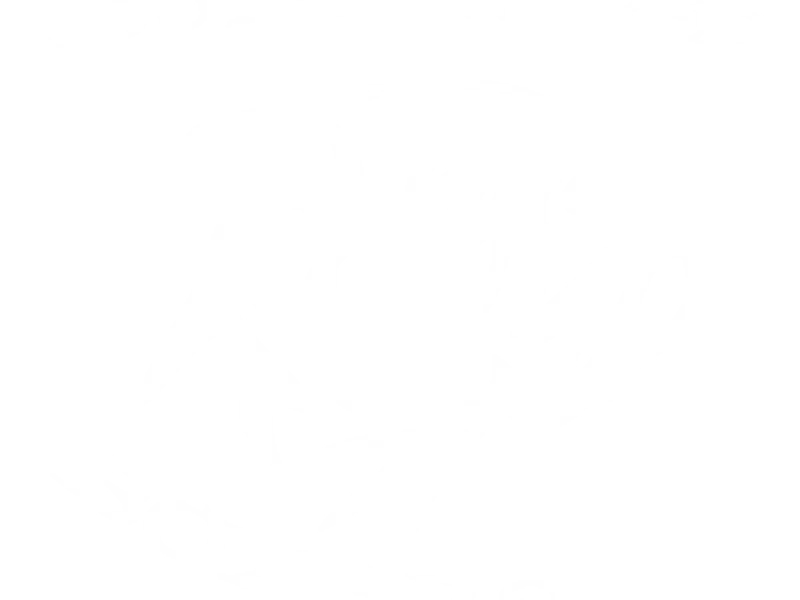 Southern Bred Boxers