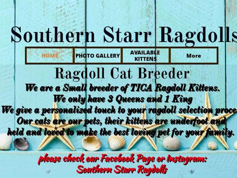 Southernstarr photo 1