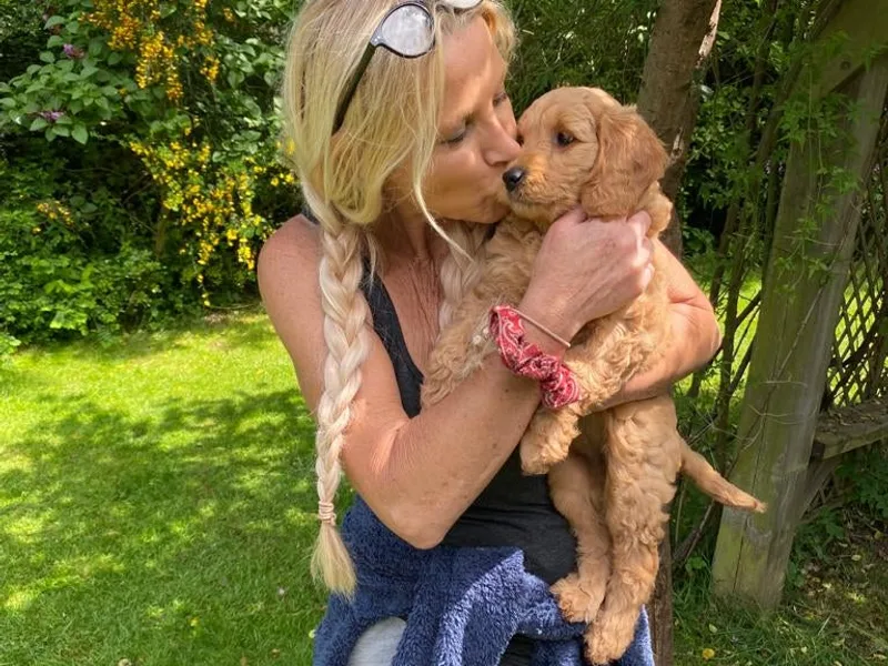 Spa’s Perfect Pups  photo 1