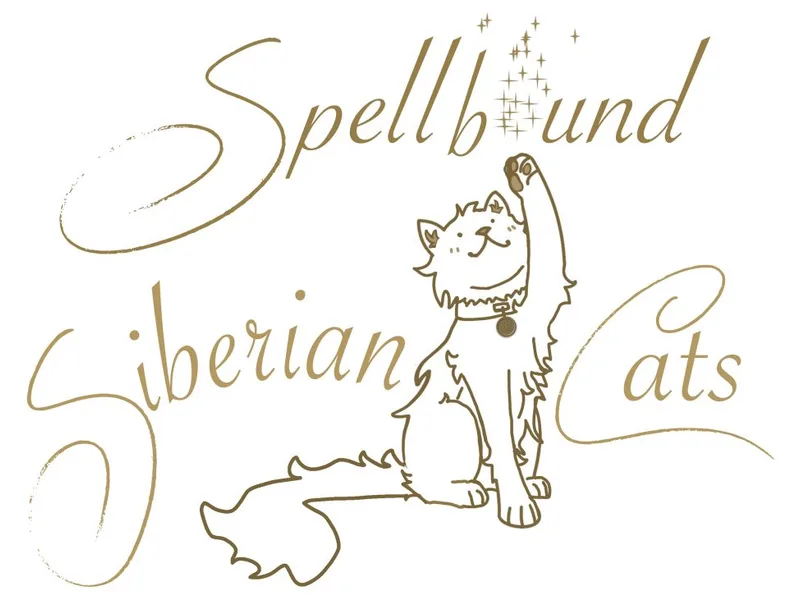 Spellboundsc photo 1