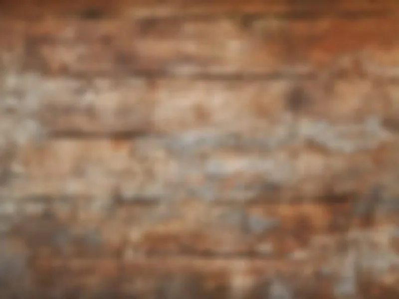 Springer Hills Farm & Patchwork Cockers