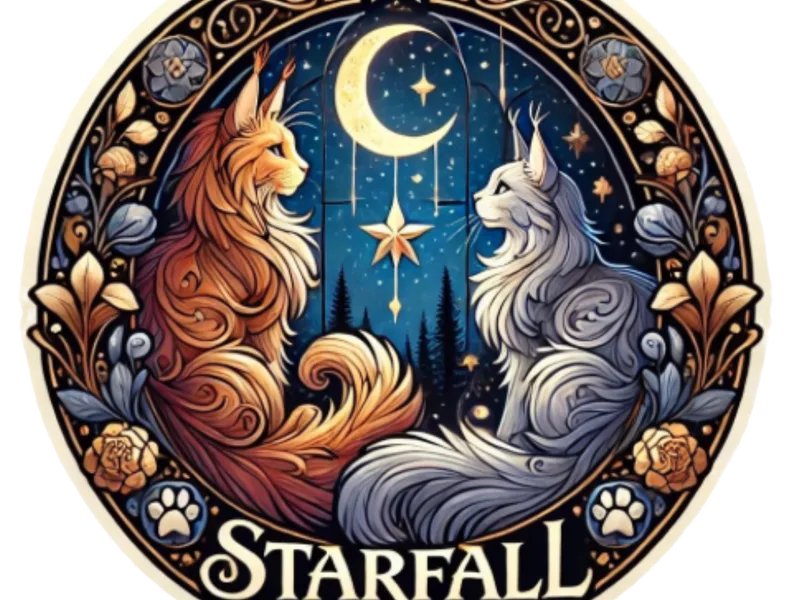 Starfallcoonery photo 1