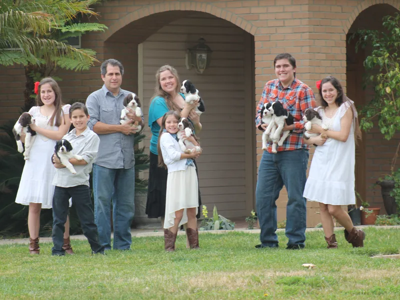 Starshine Puppies