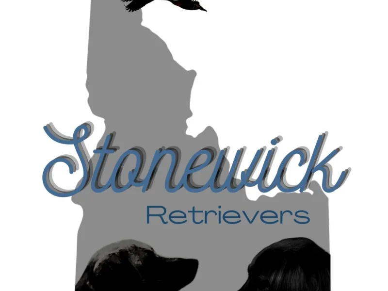 Stonewick Retrievers & Son Shine Cavaliers