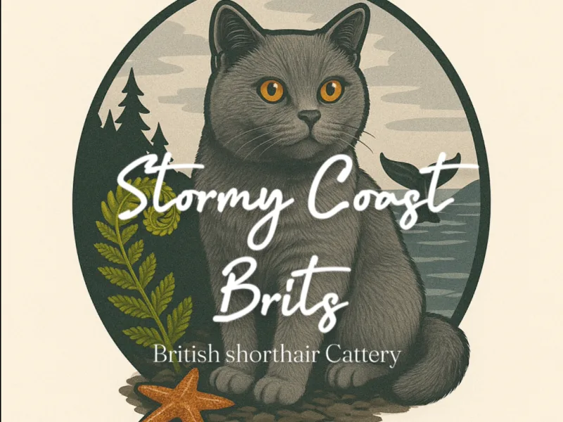StormyCoast