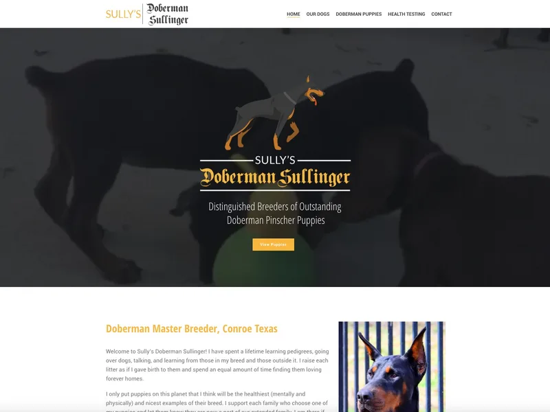 Sully European Doberman Sullinger