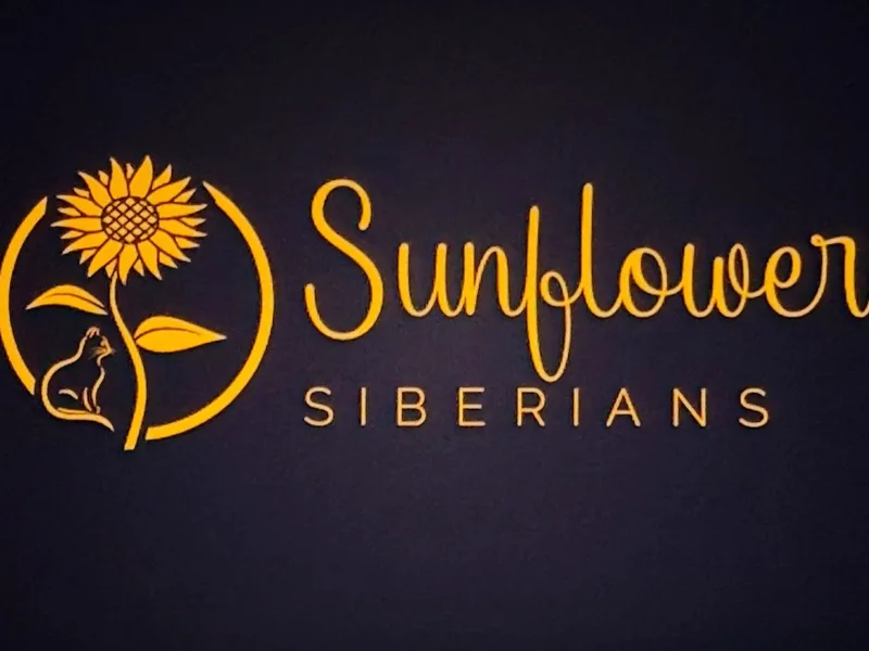 SunflowerSibs