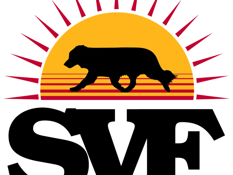 Sunset View Farms - Border Collies