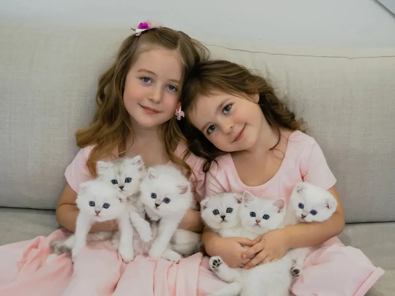 SweetPearlCats