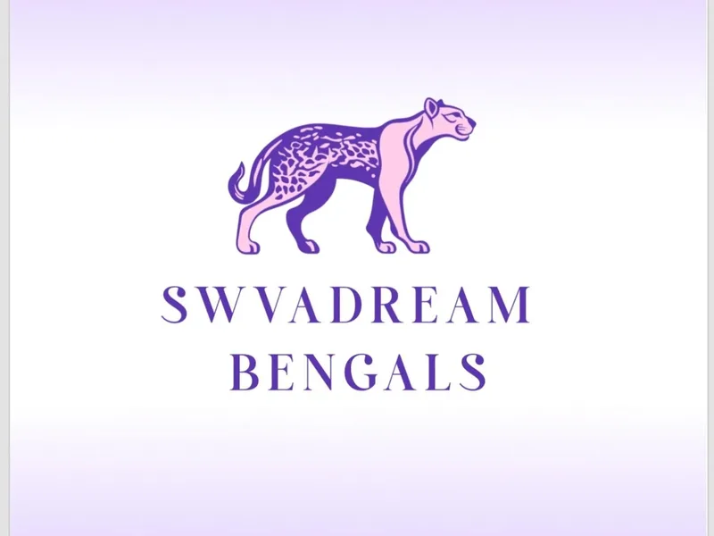 SWVADREAM photo 1