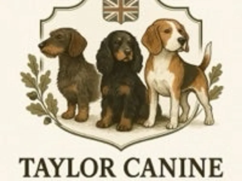Taylor Canine photo 1