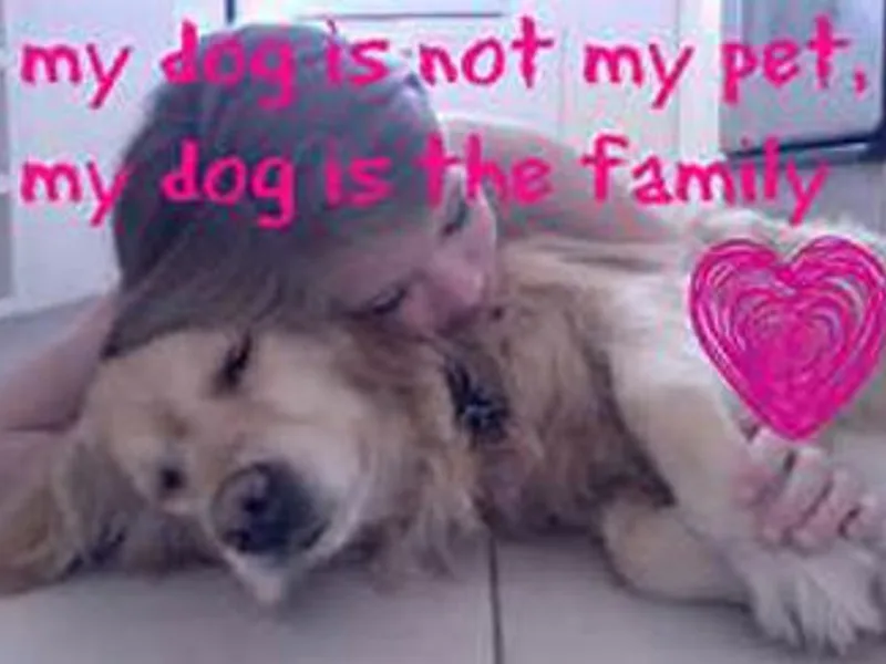 Teri Kay, Rascal Ranch, Arizona Goldens