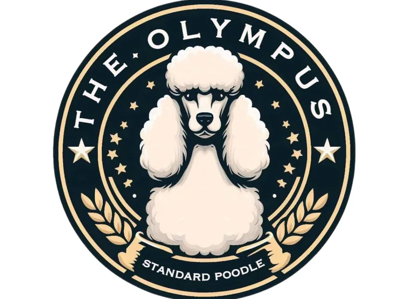 The Olympus Standard Poodle