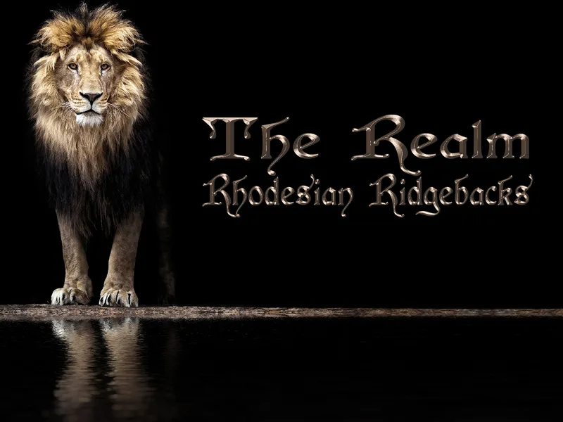The Realm Rhodesian Ridgebacks
