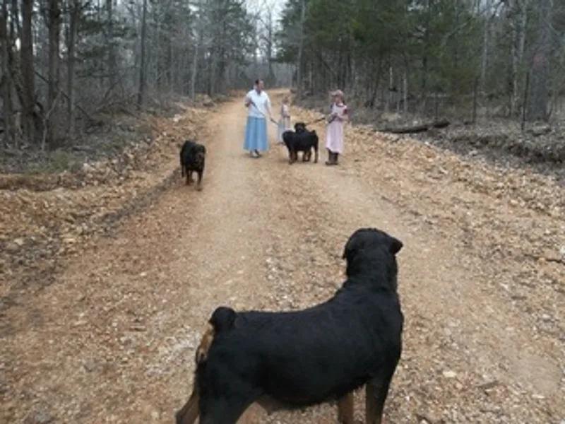 Thunder Mountain Rottweilers