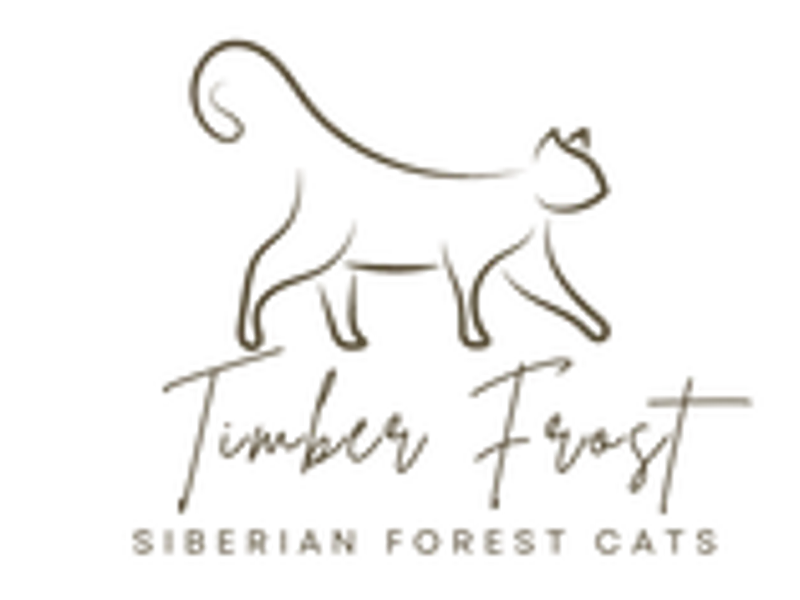 TimberFrost photo 1