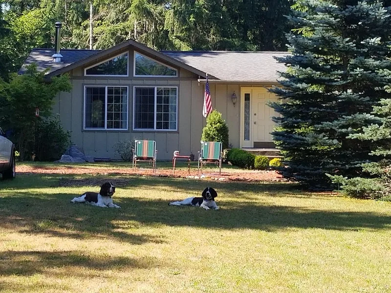 TimberVale Springers