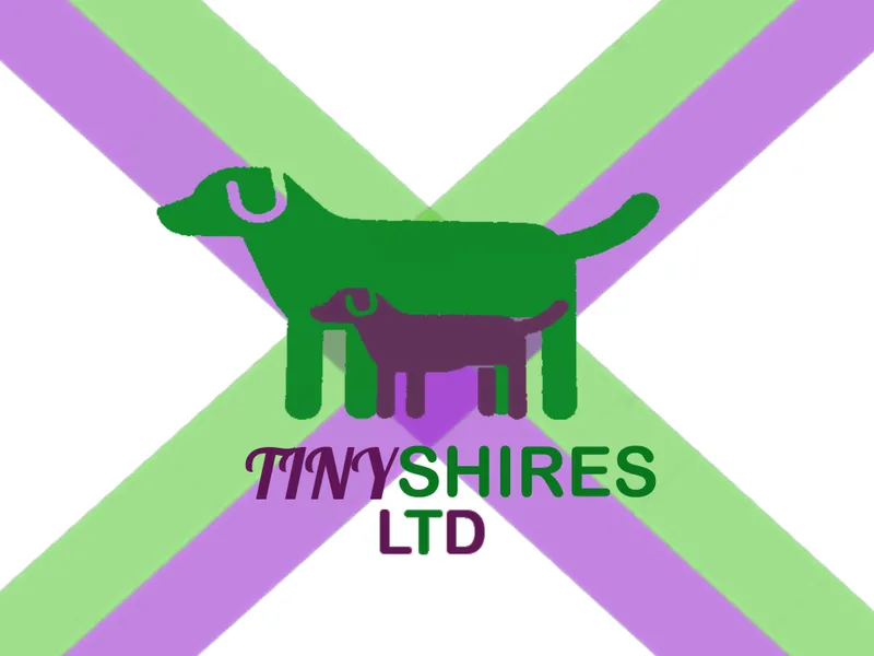 TINYSHIRES photo 1