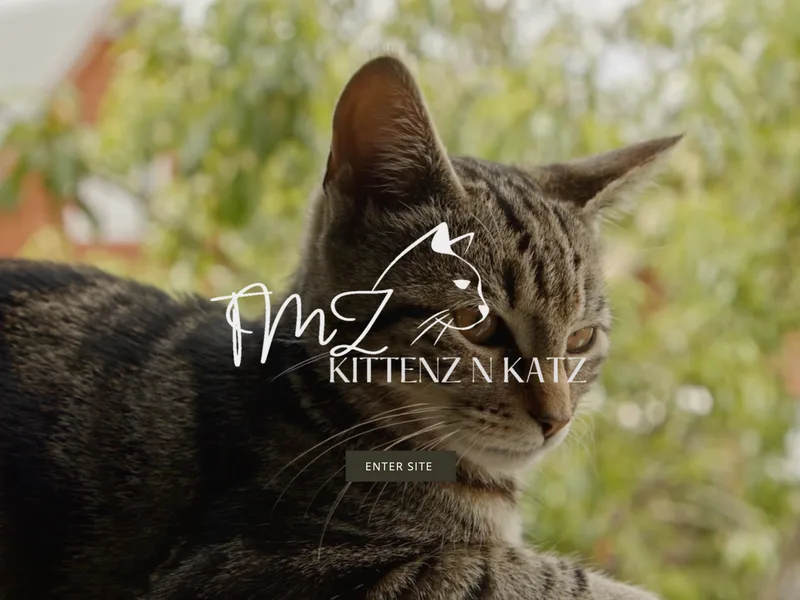 Tmzkittenznkatz
