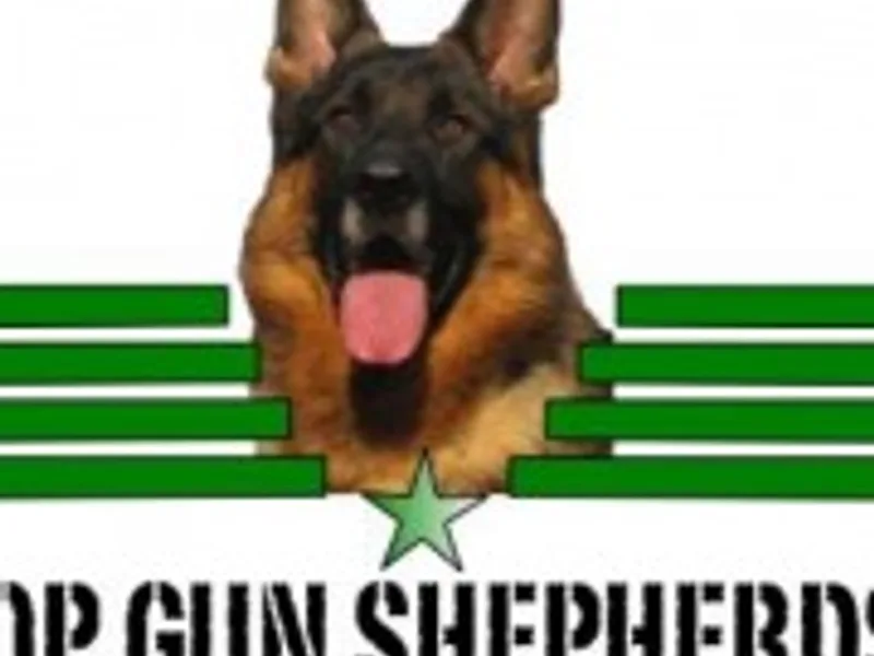 TOP GUN SHEPHERDS